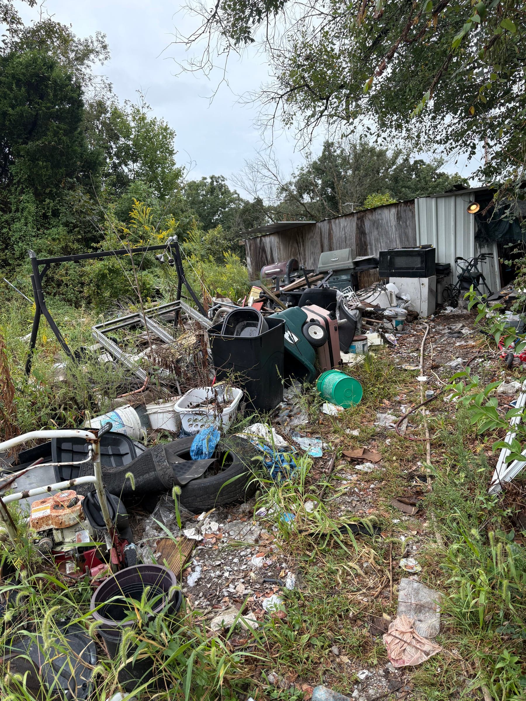 An overgrown yard with tires, buckets, and debris beside an old shed